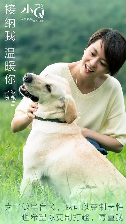 仿制约翰肯尼迪大学成绩单
